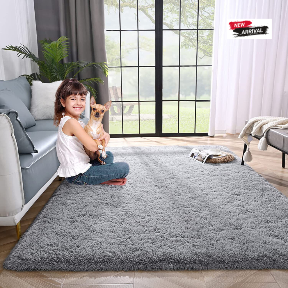 Moonlight Bedding Limited (120 X 170 Cm (4Ft X 5Ft 6In), ) Xtra Large Area Rugs Nonslip Soft Shaggy Fluffy Rug Livingroom Bedroom Lounge Carpets Grey