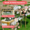 10 PCS 60cm Wedding Flower Stand Floral Display Flower Rack 6