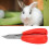 Multifunctional Piglets Teeth Clipper - Red Stainless Steel & Plastic 14