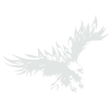 Decal per auto Aquila Bianca - Adesivo universale per cofano