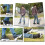 Adjustable Multipurpose Outdoor Shoes, Black 37 2