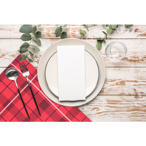 Durable Robin Printed Cotton Placemats - Set of 4 - Red 2