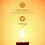 G4 Halogen Bulb 12V 20W, G4 Light Bulb, Dimmable G4 Halogen Bulb, 3000K Warm White, No Flickering, G 2