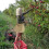 Eco-Friendly Nylon Foraging Bag for Fruit and Vegetable Collection 7