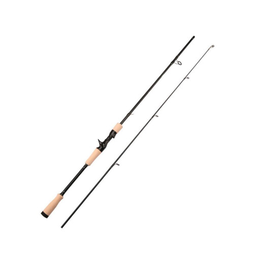 Fishing Rod for Demanding Anglers Style B