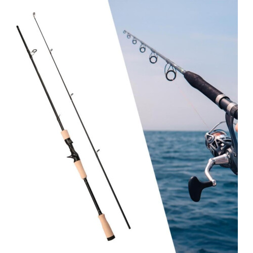 Fishing Rod for Demanding Anglers Style B 2