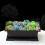 Bonsai Pot, Planter, Balcony Box, 29 x 21 x 10.5 cm 4
