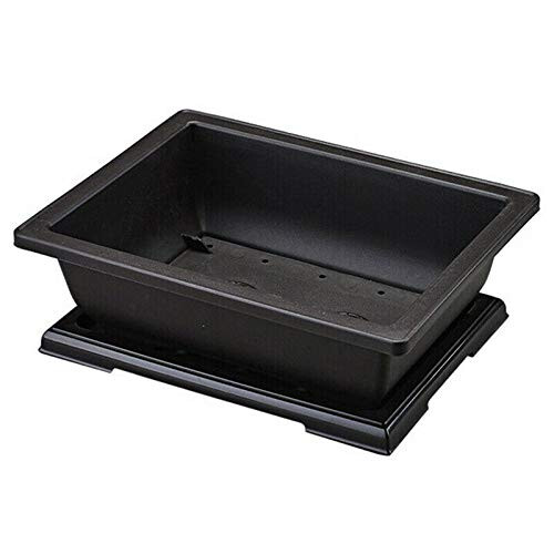 Bonsai Pot, Planter, Balcony Box, 29 x 21 x 10.5 cm