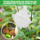 Interlocking Rooting Boxes for Indoor & Outdoor Plant Propagation (10) 4