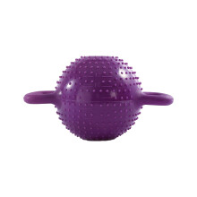 Yoga Kettlebells Body Exercise NonSlip Pilates Women Training Aid Adjustable Workout Double Ear Kettlebell for Sports Squats Lifting Purple