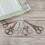 Vintage Stainless Steel Sewing Scissors Classical 11