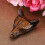 1pc Wolf Head Shaped Pendant Natural Tigers Eye 6