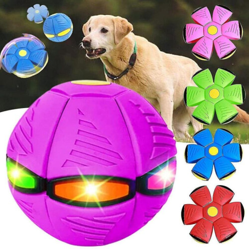Saucer Ball, Lighting, Changeable Shapes for Parent-child Interaction 1