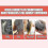 Coconut Mask Smooth And Smooth Mask Dryness, S --d 4