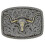 (A)Mens Belt Buckle 1