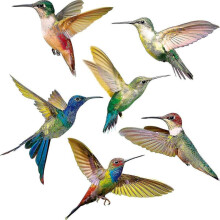 Hummingbird Window Bird Window Stickers Anti-collision Window Stickers To Avoid On Glass (6pcs)
