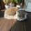 Sleeping Cat Lifelike Sleeping Cat Stuffed Sleeping Cat Plush 3