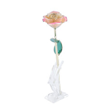 Long Stem Dipped 24k Gold Rose in Gift Box with