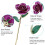 Long Stem Dipped 24k Gold Rose in Gift Box with 12