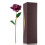 Long Stem Dipped 24k Gold Rose in Gift Box with 6