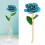 Long Stem Dipped 24k Gold Rose in Gift Box with 11
