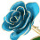 Long Stem Dipped 24k Gold Rose in Gift Box with 15