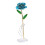 Long Stem Dipped 24k Gold Rose in Gift Box with 2