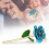 Long Stem Dipped 24k Gold Rose in Gift Box with 12