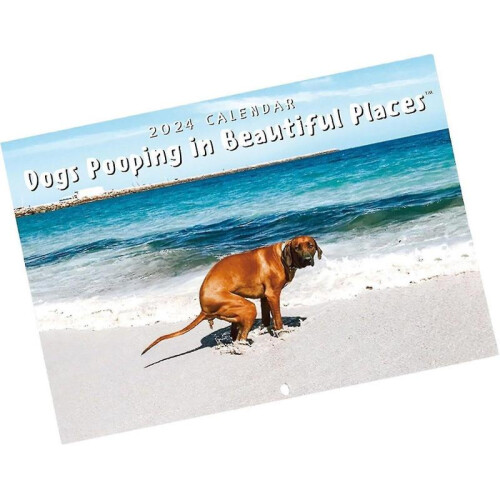 2024 Dog Pooping Hangable for Home Hostel Hotel Bedroom 1