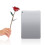 Long Stem Dipped 24k Gold Rose in Gift Box with 4