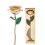 Long Stem Dipped 24k Gold Rose in Gift Box with 3