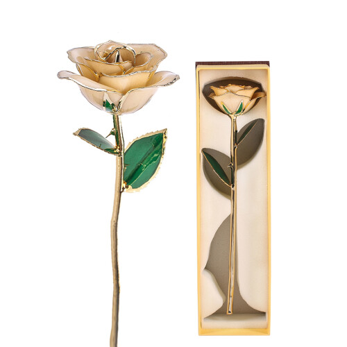 Long Stem Dipped 24k Gold Rose in Gift Box with 2