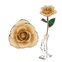 Long Stem Dipped 24k Gold Rose in Gift Box with