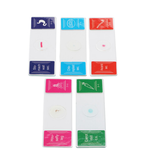 Explore Biology: 25Pcs Glass Slides with Tissue Specimens for All Ages 2