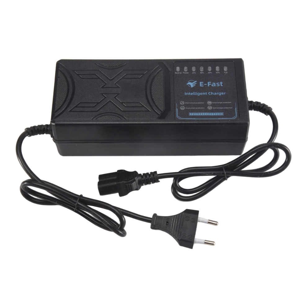 Caricabatterie Per Veicoli Elettrici Da 48 V E 20 Ah Con Protezione Dalle Perdite Di Corrente, Spina Ue-image