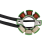 32101-10H00 Motorcykel Generator Statorspole til 2