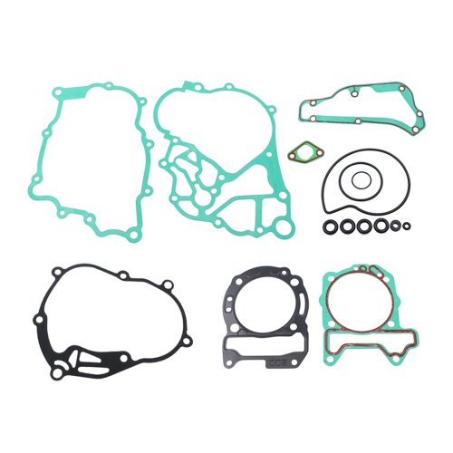 Joints de culasse de moteur de moto pour 300