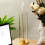 Insence-Stick Holder Καυστήρας για Στικ με Αφαιρούμενο Συλλέκτη Στάχτης 5