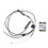 BE200NGW WiFi 7 M.2 NGFF Rete BT5.4 8774Mbps 2