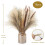 70 Pcs Natural Pampas Grass Decor, 17inch Dried Pampas Grass Decor 4