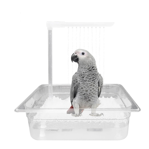 Bañera para loros, ducha automática para pájaros, enchufe UE