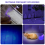 Light Flashlight for Pet Urine Detection, Mini LED Detector 4