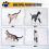 Animal Organ Anatomy Model 4D Cat Intelligence Assembling Toy DIY 7