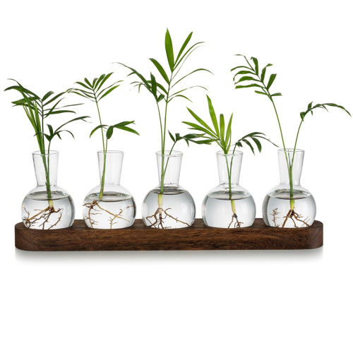 Σταθμός Πολλαπλασιασμού Φυτών Terrarium, Γυάλινο Βάζο με Λαμπτήρες