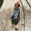 Polyester Foam Dog Life Jacket for Pool Beach Boating Safety 8
