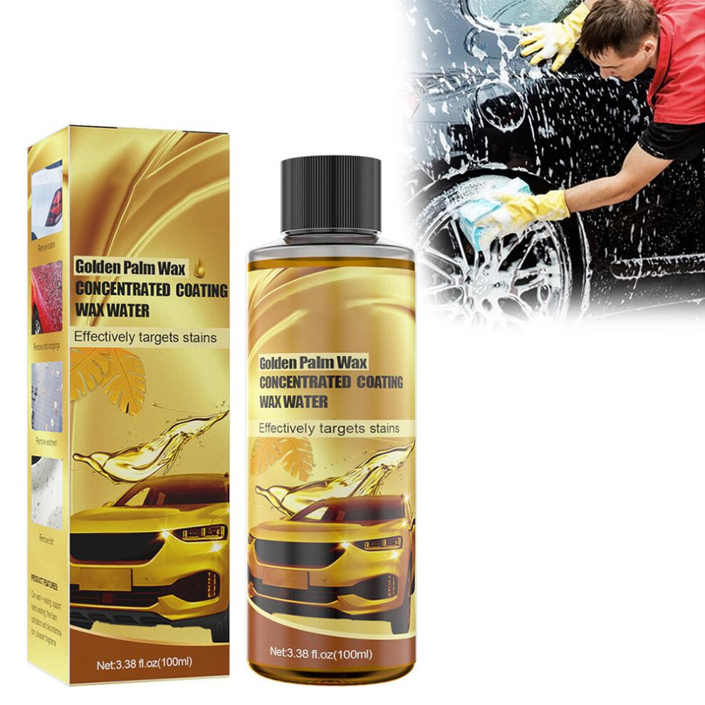 Carnauba Car Wash Wax and Polish Multipurpose Car