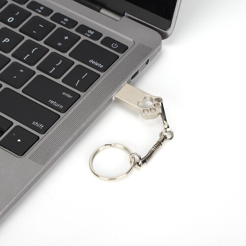 Clé USB en forme de patte, 64 Go, métal, porte-clés, USB 2.0 2