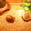 Dust-Free Corn Cob Bedding - Perfect for Hamsters and Small Pets 11