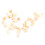 Dust-Free Corn Cob Bedding - Perfect for Hamsters and Small Pets 6
