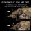 Helmet Mount, Adjustable, Can Be Equipped With Night Vision Device Models Such As PVS15/PVS18/GPNVG18 Mud 3